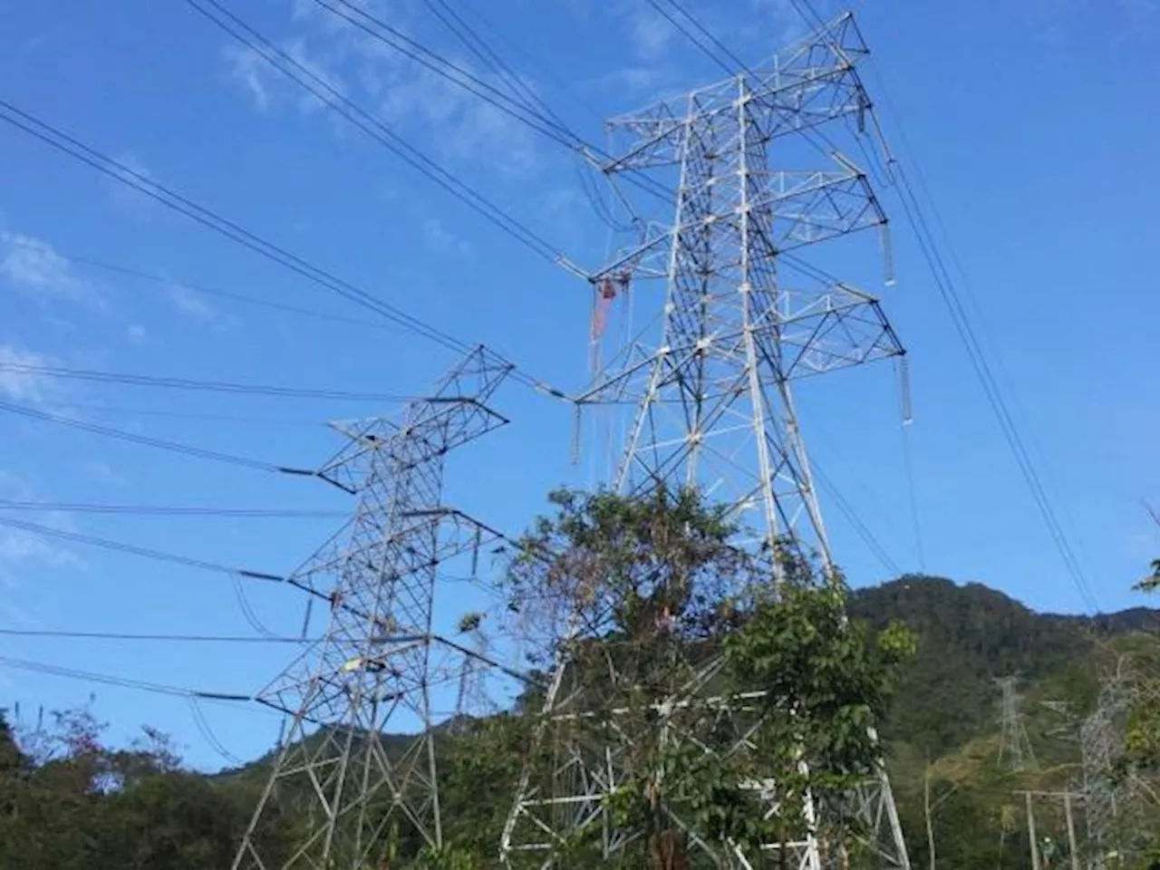 En 2024 se redujo 7,1% la utilidad neta del Grupo de Energía Bogotá
