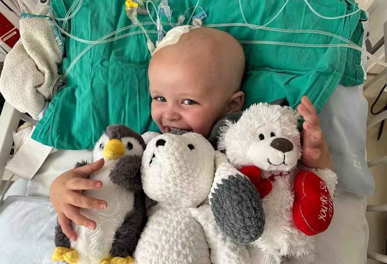Parents remain hopeful after two-year-old’s brain tumour diagnosis