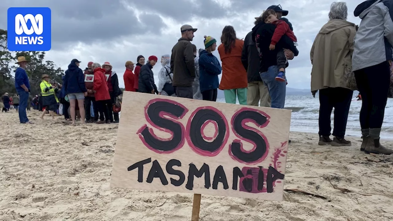 Anti-salmon protest held at Verona Sands, site of first dead fish wash up from Tasmanian mass mortality event