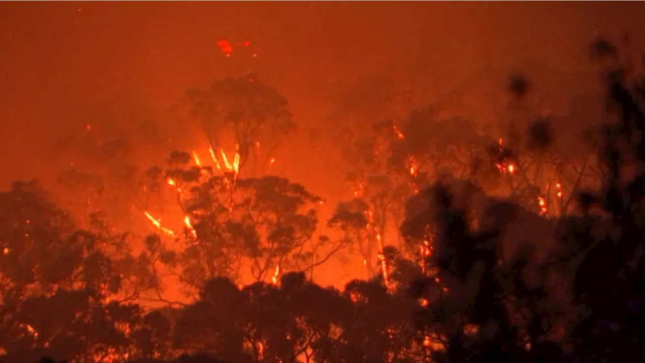 Wild bushfire rages through southeast Melbourne threatening lives and homes