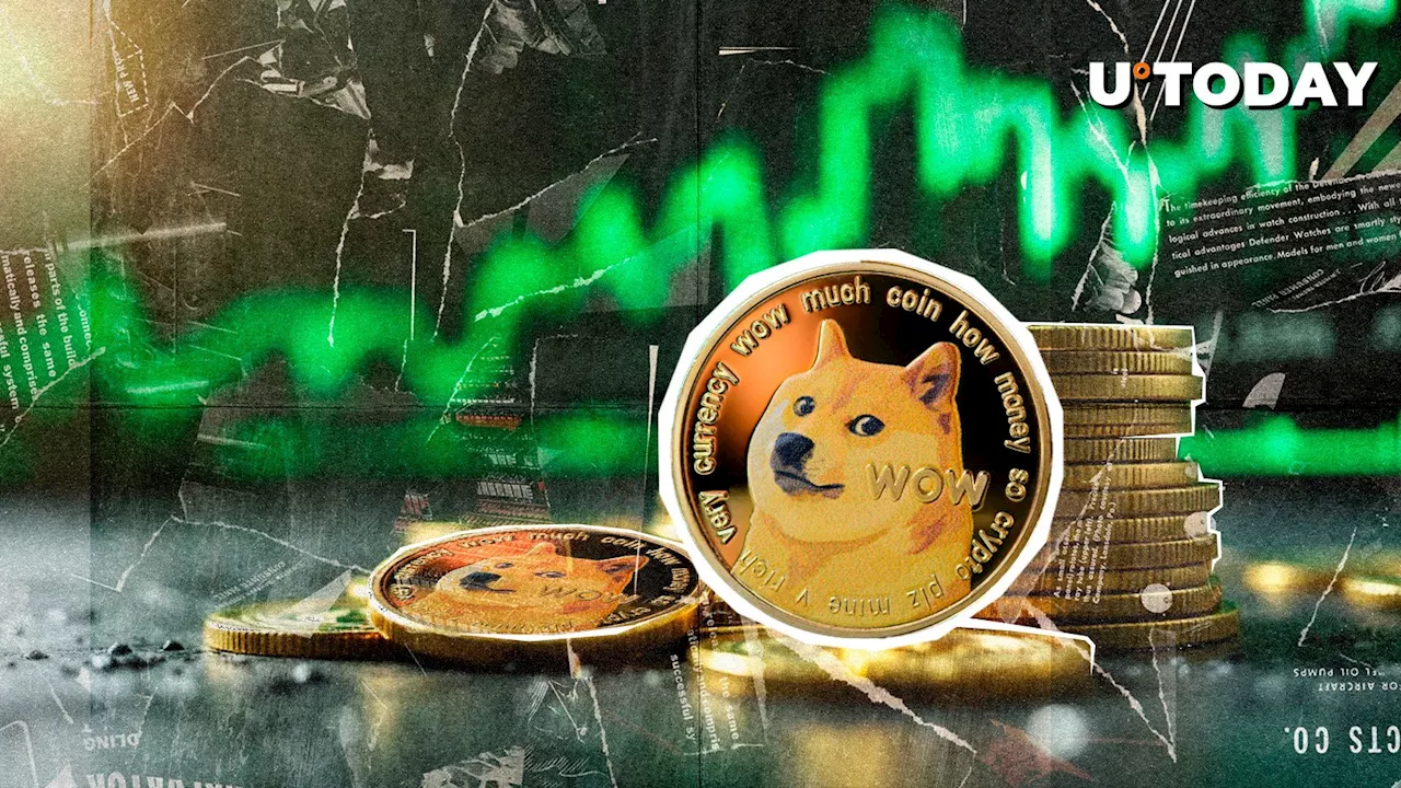 Dogecoin Network Sees Explosive Surge in Active Addresses