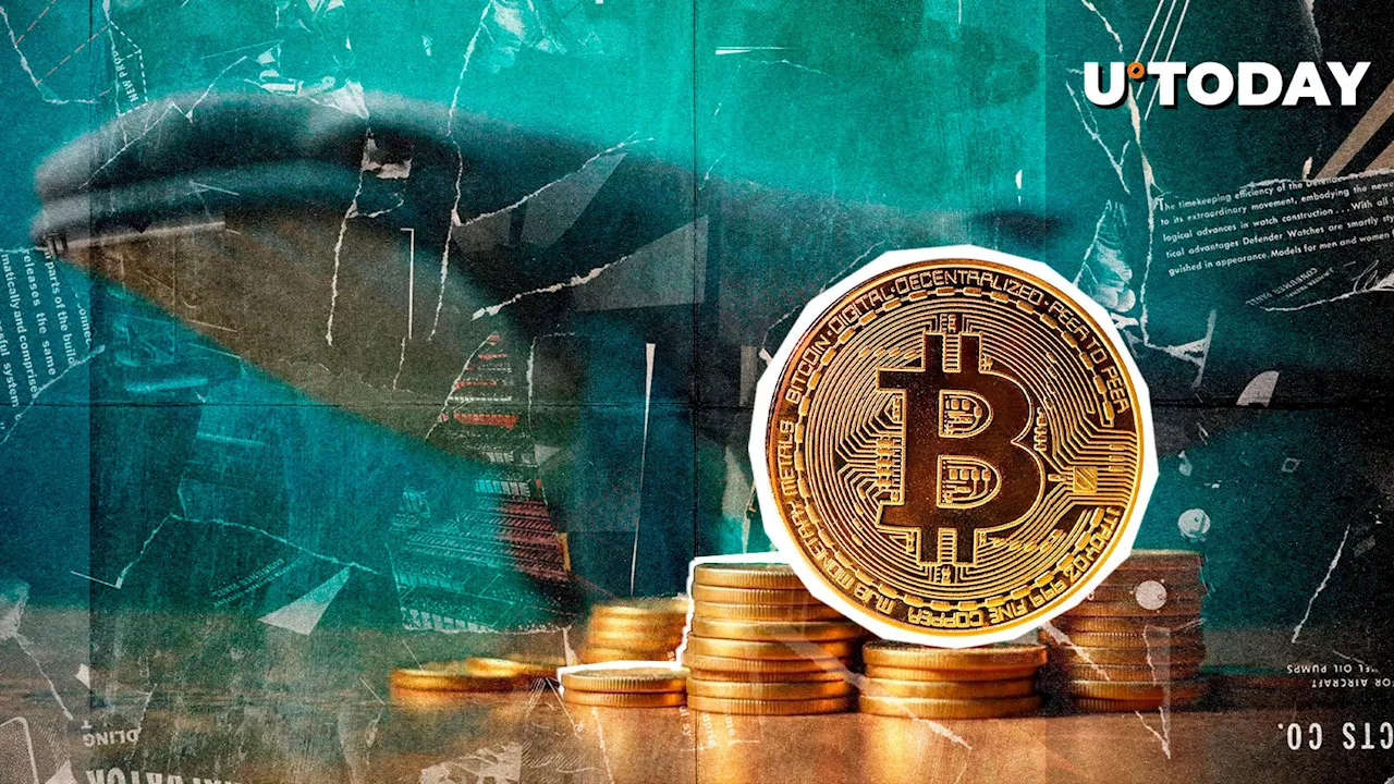 High-Stakes Bitcoin Trade: Trader Risks Millions on 40x Leverage