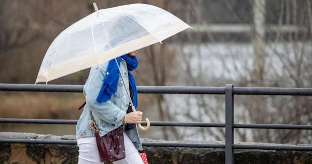 Alerta meteorológica por tormentas severas y vientos extremos: qué zonas están en peligro