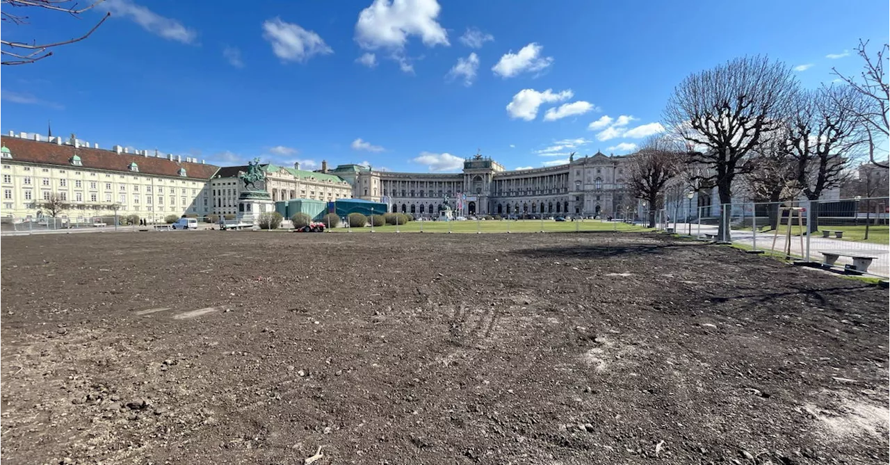 Rasen-Bericht: Was ist los am Heldenplatz?