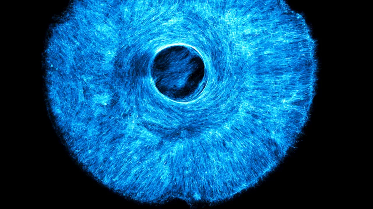 MIT’s new artificial muscles for soft robots mimic real tissues for greater agility