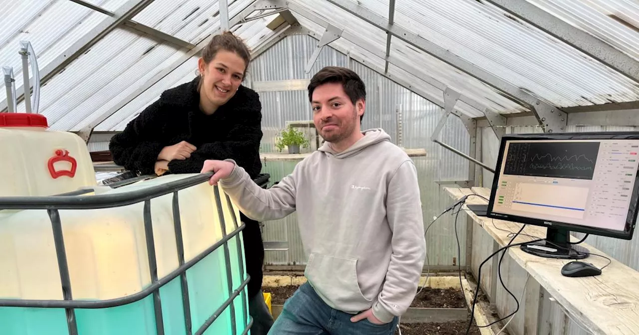 Forschung statt Feldarbeit: Wie Start-ups das Land hip machen sollen