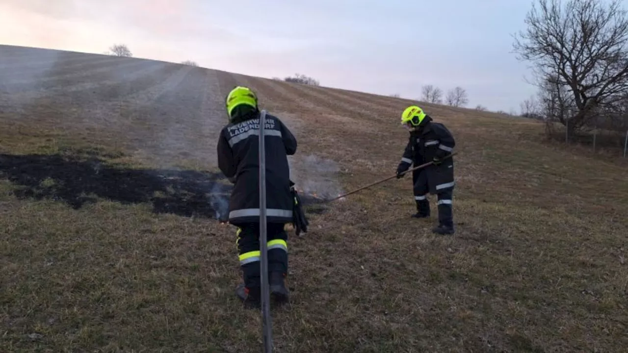 Waldbrandverordnung soll Flur- und Waldbrände verhindern