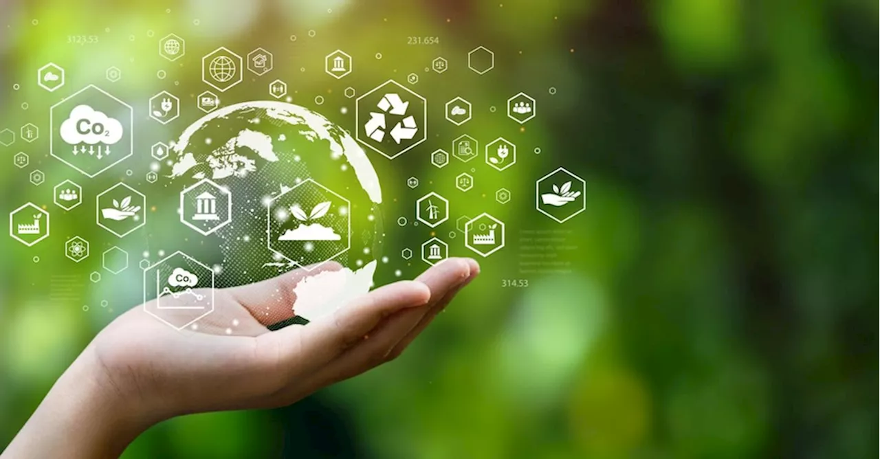 Sostenibilità, il circolo virtuoso tra società e ambiente