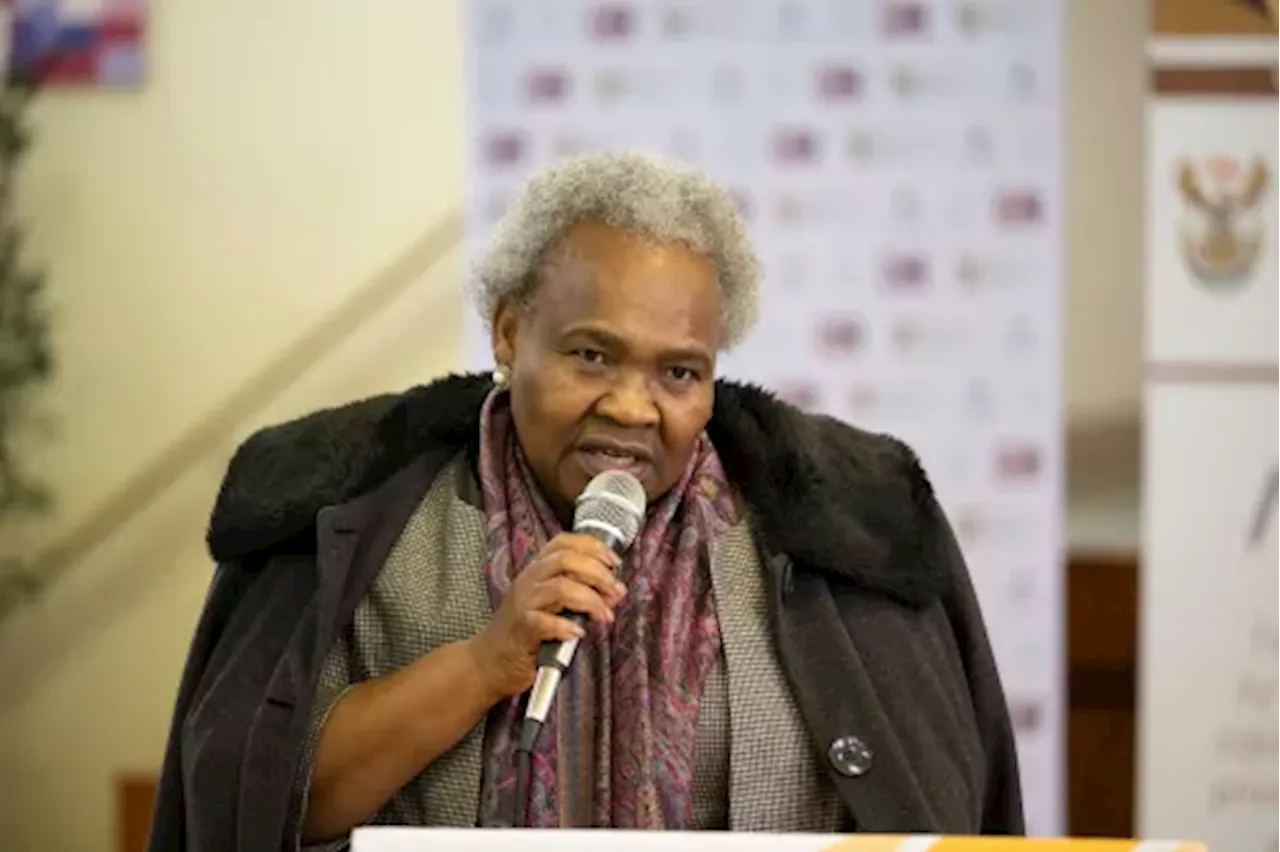 Minister Tolashe must resign as illegal immigrants bankrupt Sassa