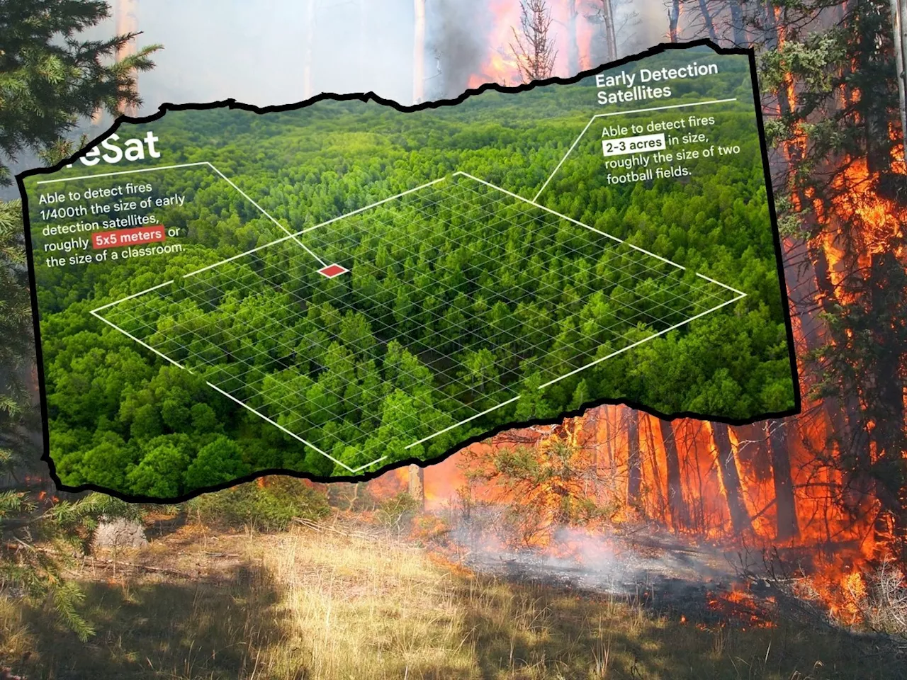 Google startet FireSat-Satelliten zur Waldbrandbekämpfung