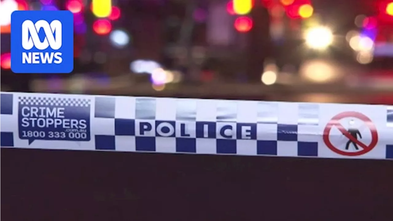 L-plater dies in horror crash at Black Hill, near Newcastle