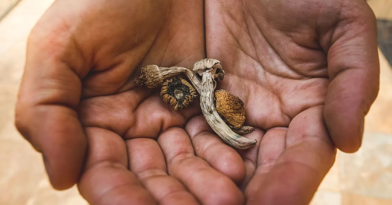 What microdosing is, why people do it, and why guidance matters.