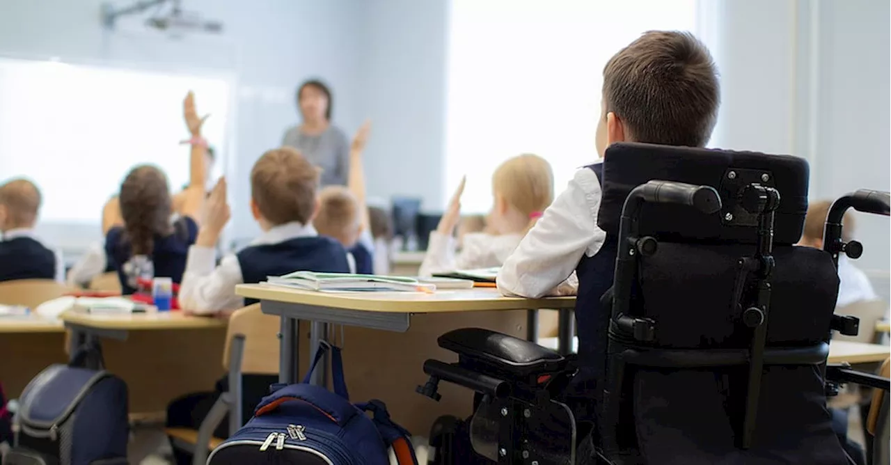 Istat: oltre il 30% degli alunni con disabilità non dispone di ausili didattici