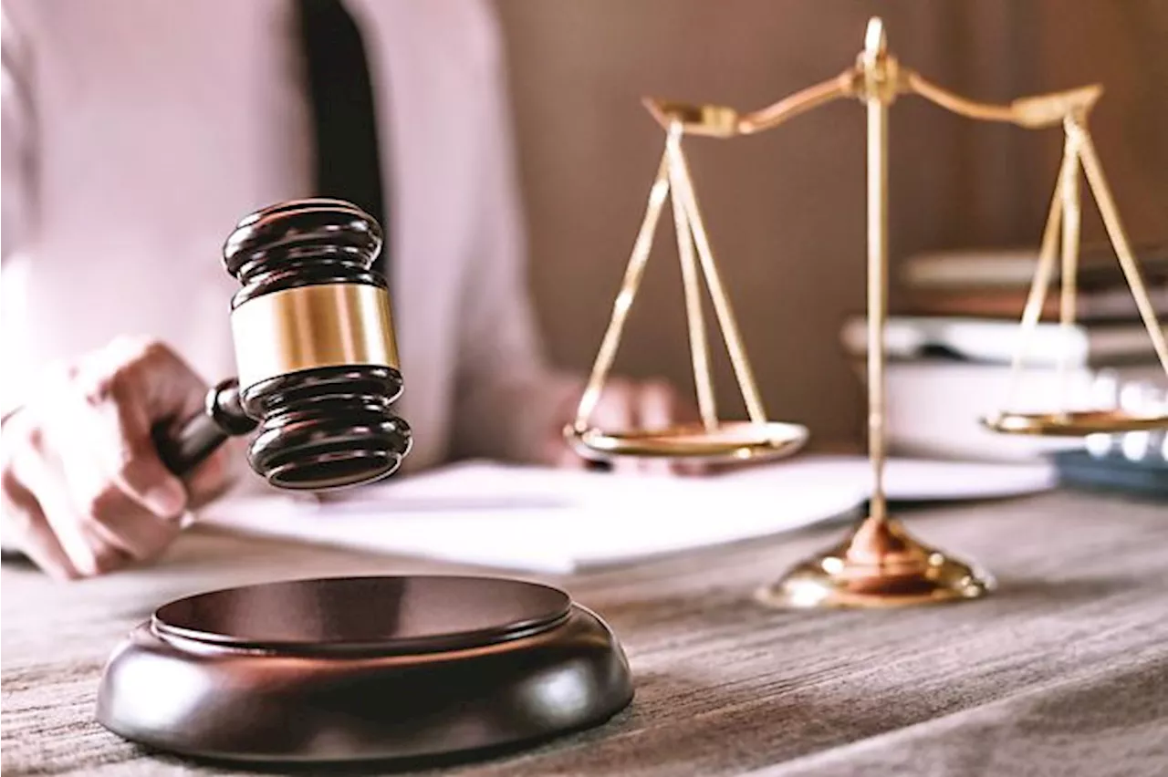 Man fined RM10,000 for rearing endangered wildlife without licence