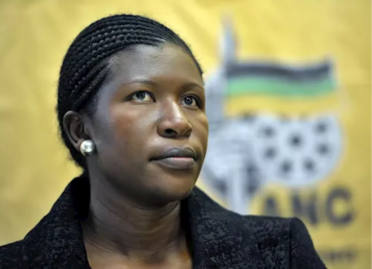 R23.5m licensing scandal rocks Sedibeng as mayor's stepson implicated