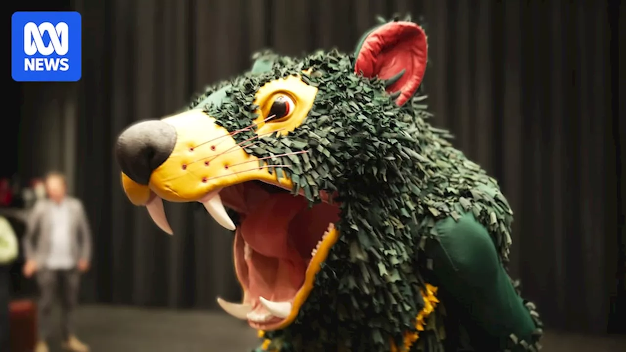 Who, or what, is Rum'un, Tasmania's new AFL mascot?