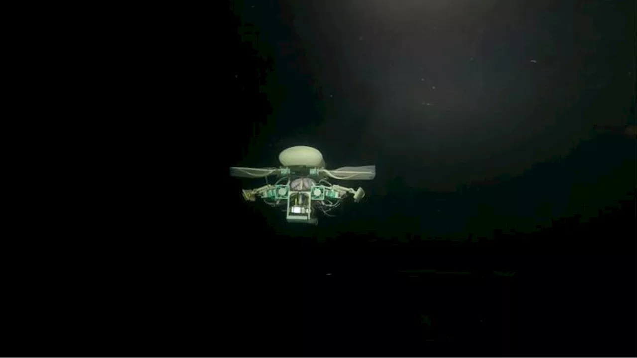 Shape-shifting robot that swims now explores Mariana Trench, reaches depth of 34,776-ft