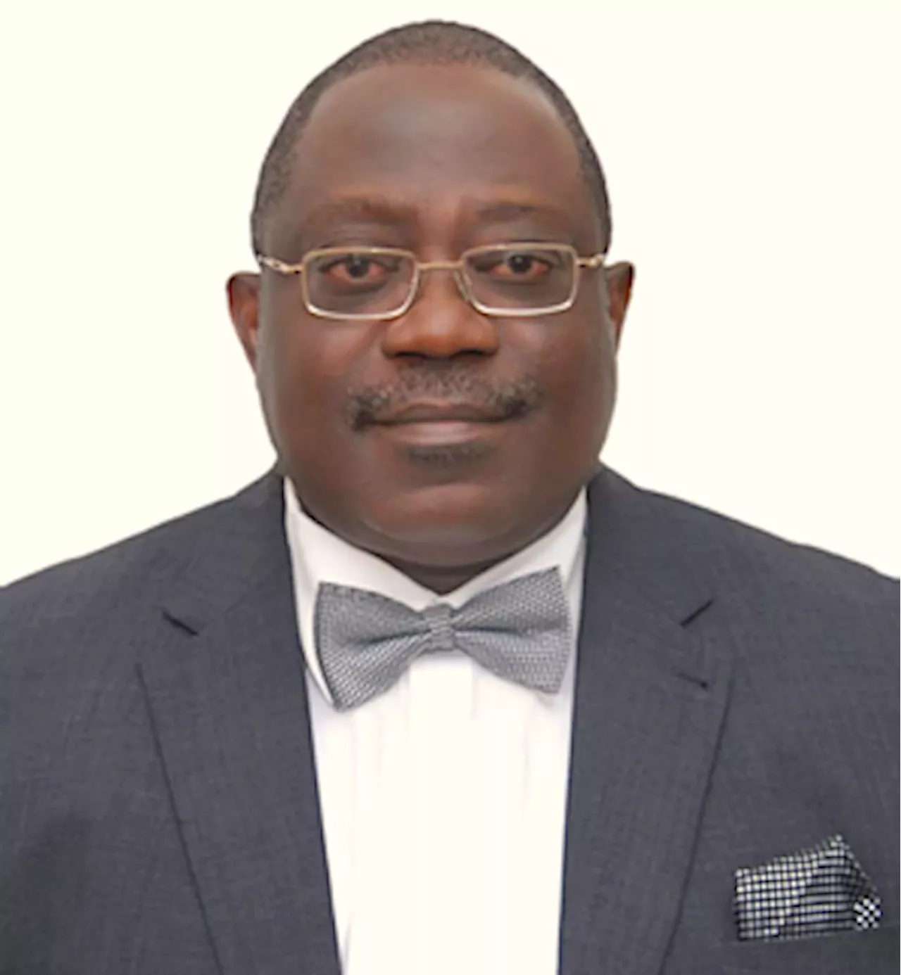 Generalist-professional controversy in the civil service: Reform options for Nigeria, By Tunji Olaopa