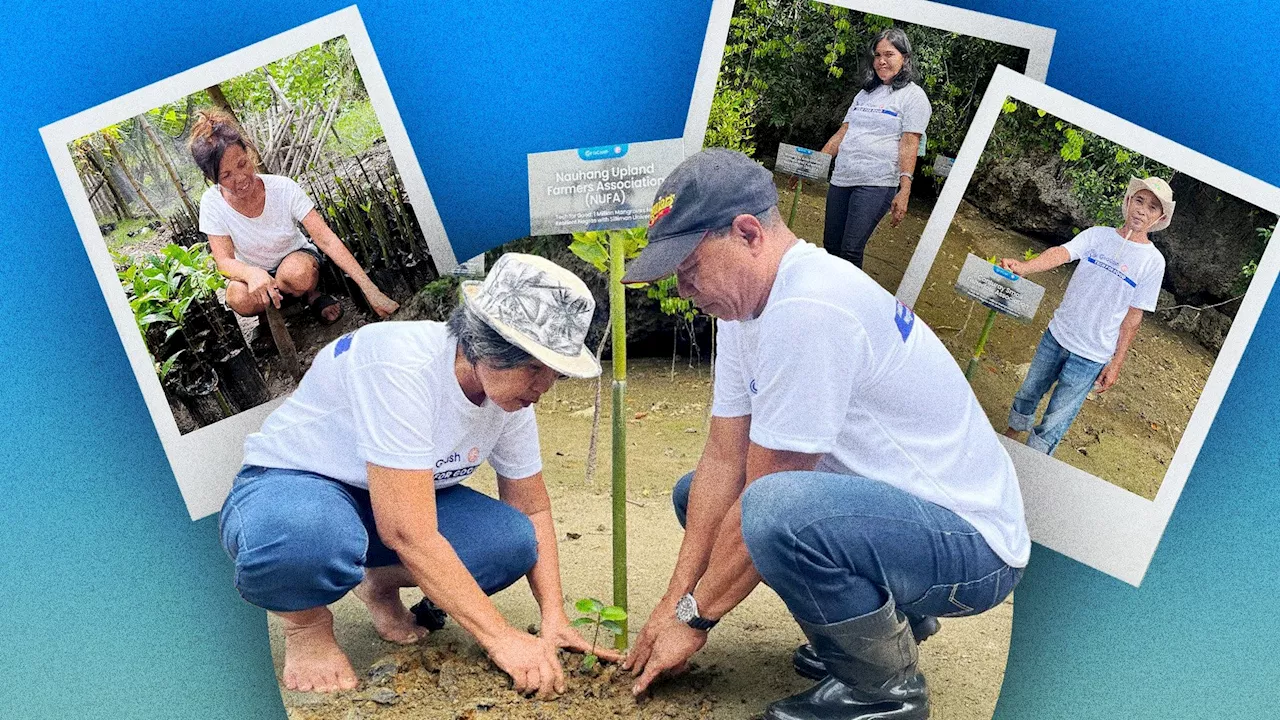 How Silliman University, GForest are planting 1M mangroves for a more resilient Negros