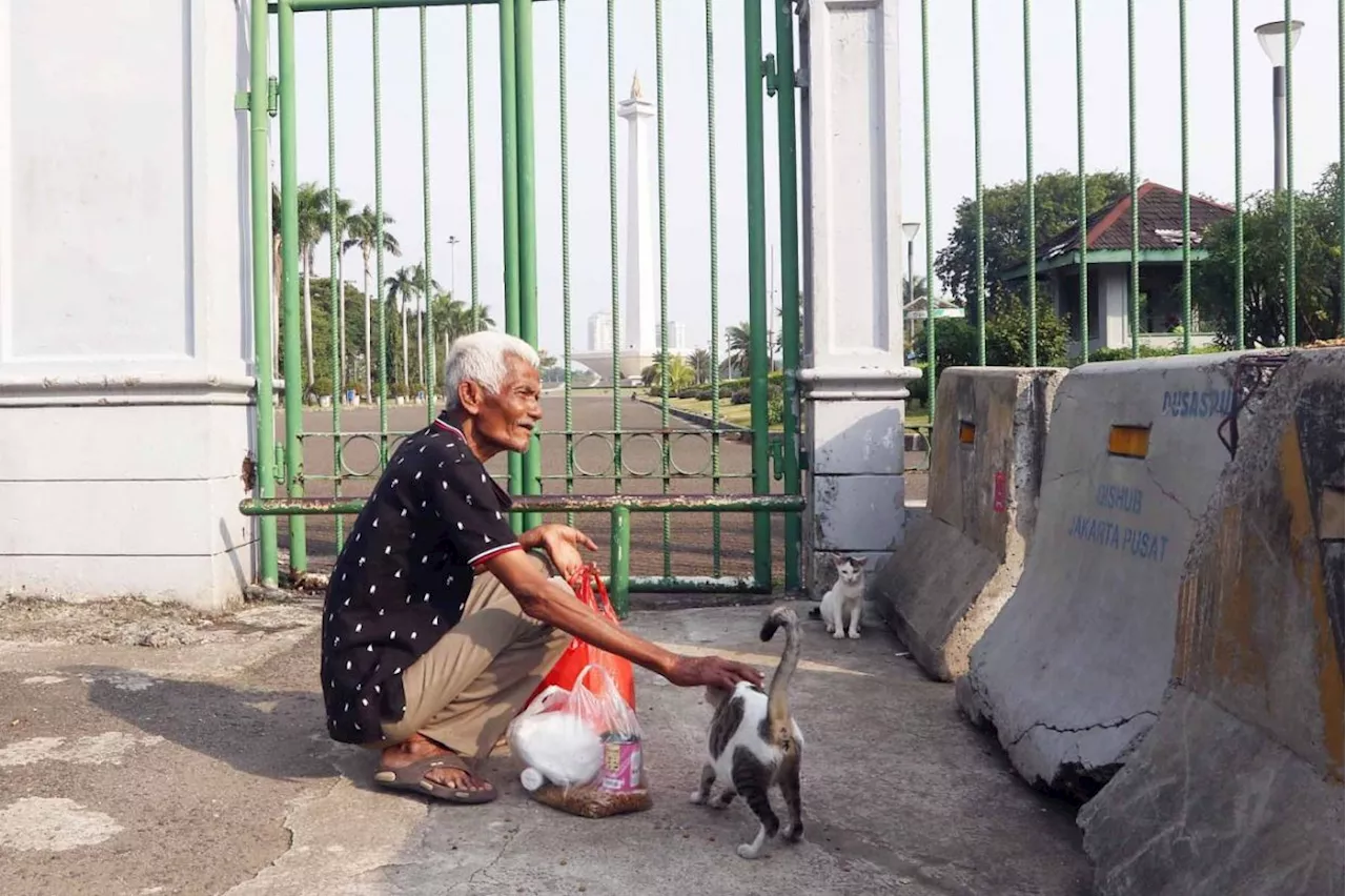 Jakarta Governor Pramono to dedicate an island for stray cats