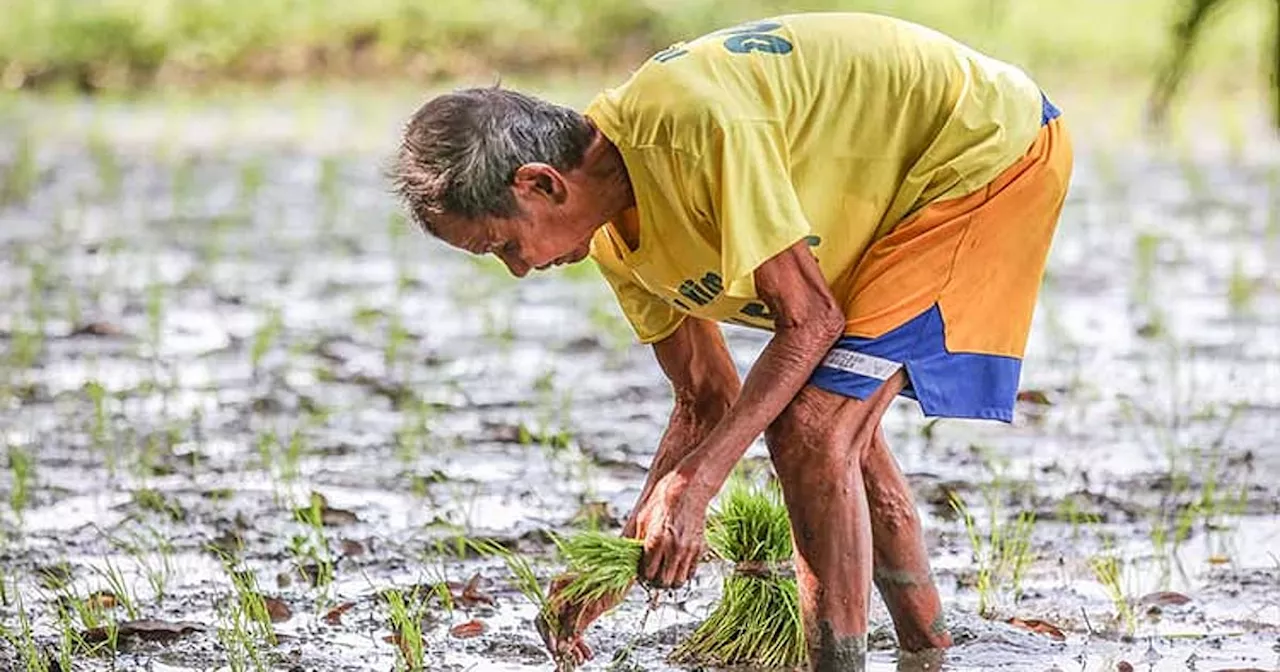 Farmers on ‘high alert’ due to hot weather