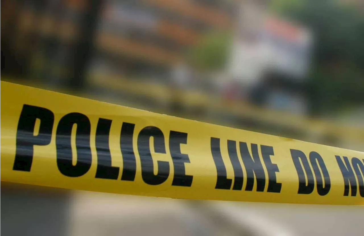 2 persons of interest in police custody