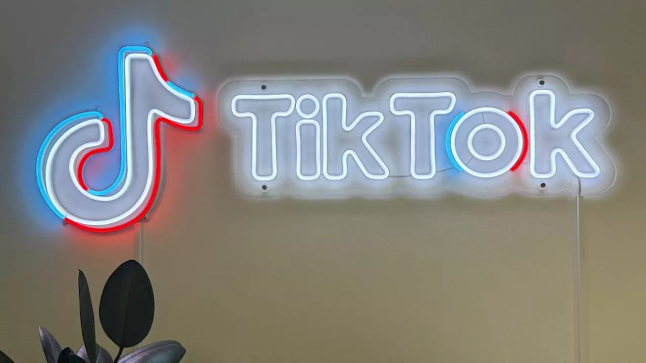 TikTok midt i europæisk panik over amerikanske techgiganter: Bare rolig, vi beskytter jeres data