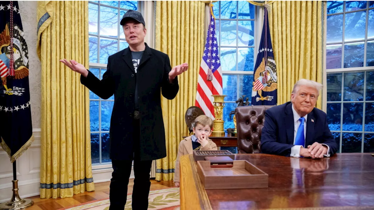 Trump, Musk e l’illusione dell’efficienza. Come ti trollo il mondo