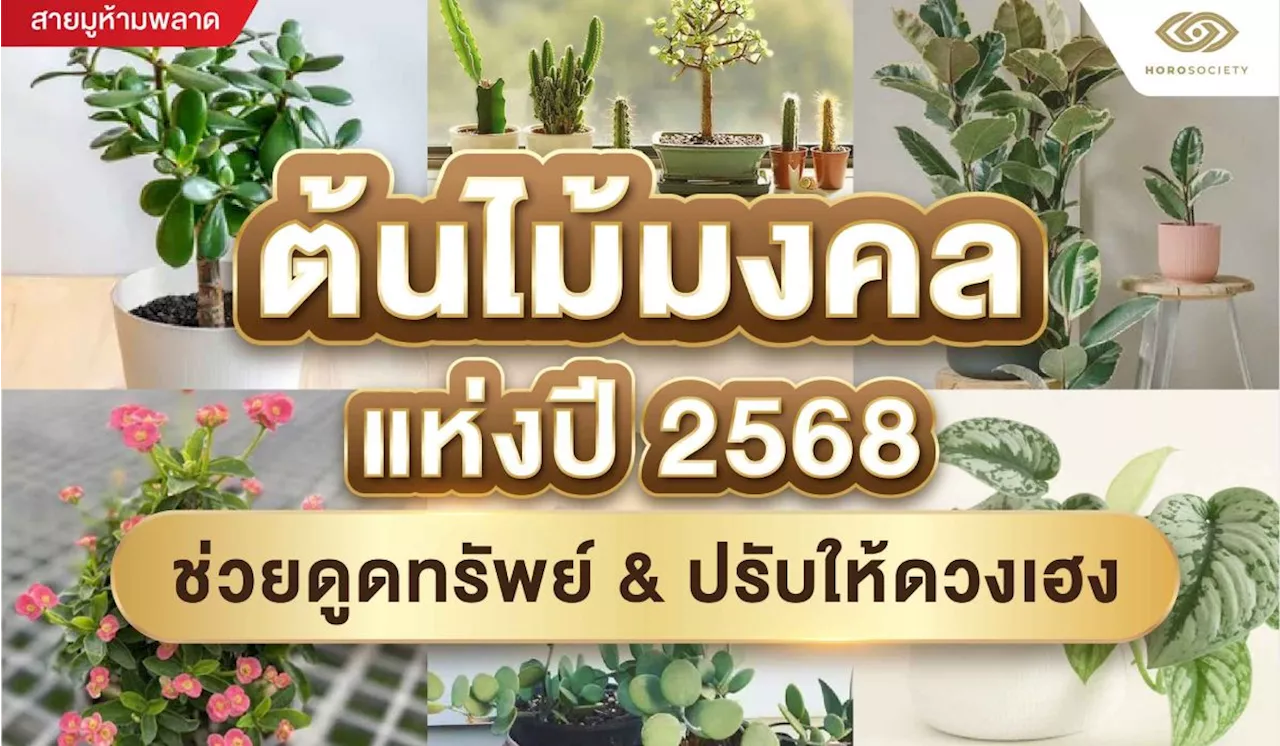 ต้นไม้มงคล แห่งปี 2568 ช่วยดูดทรัพย์ &​ ปรับให้ดวงเฮง