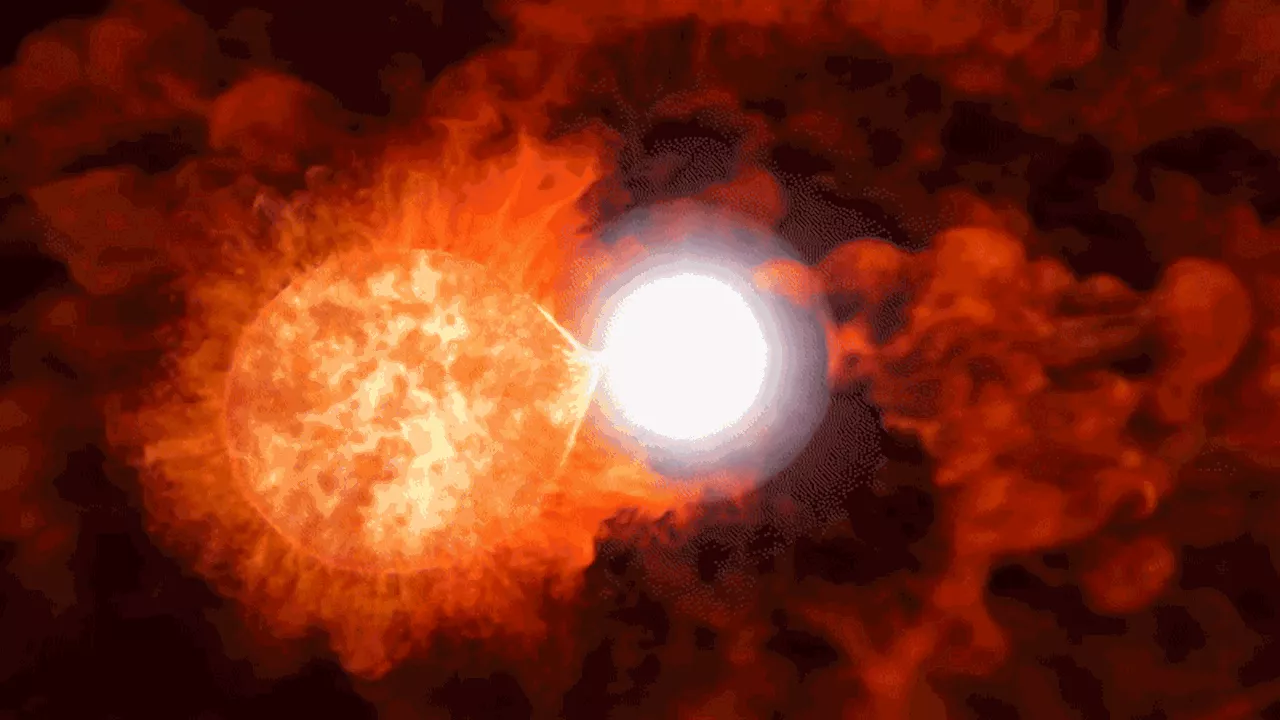 Prepare for the Blaze Star: T Coronae Borealis's Predicted Nova Event
