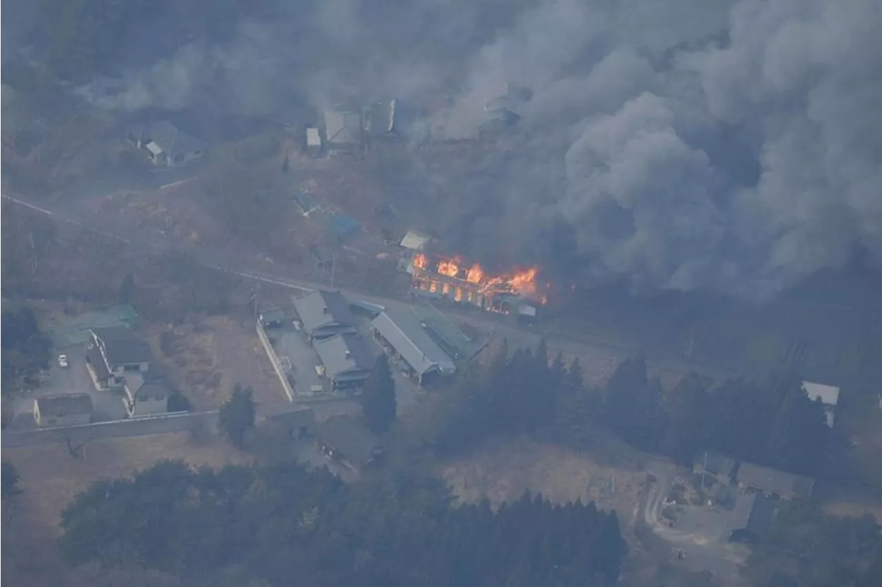 Thousands flee after Japan's biggest wildfire in decades