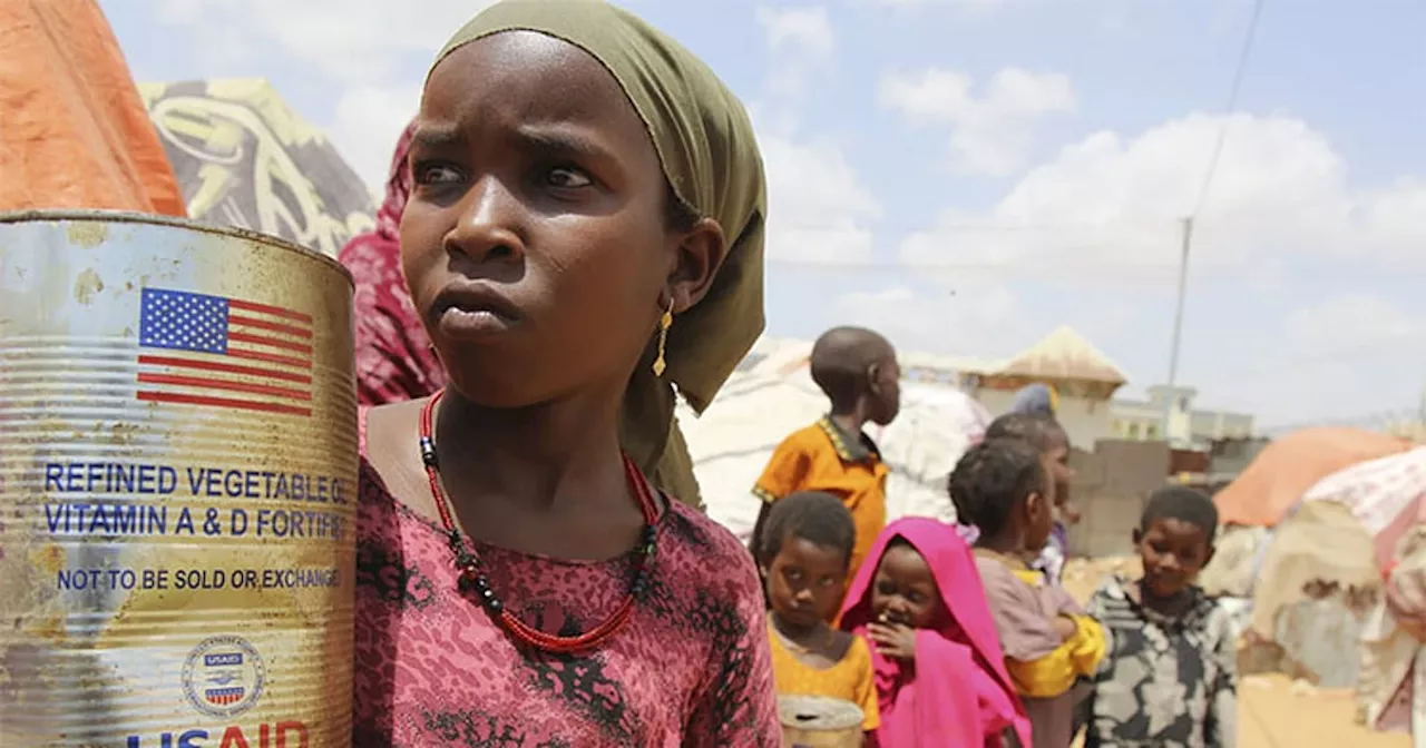 USAid cuts are already hitting countries around the world. Here are 20 projects that have closed