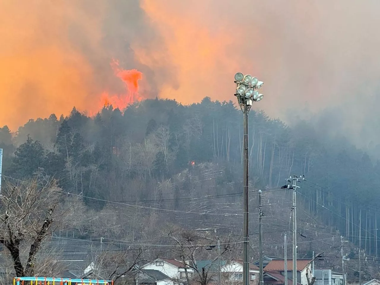 Devastating Wildfire Forces Thousands to Flee in Northern Japan