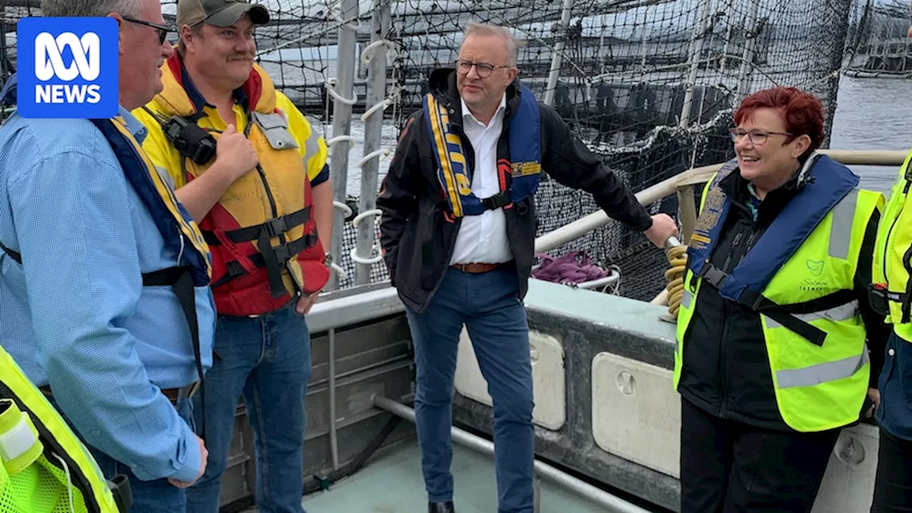 Federal Labor moves to protect Macquarie Harbour salmon farming, sideline Plibersek decision