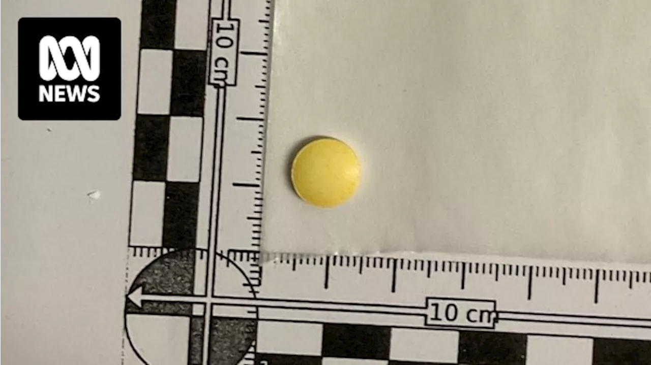Queensland pill testing sites to close in April despite nitazenes detected in Australian wastewater for first time