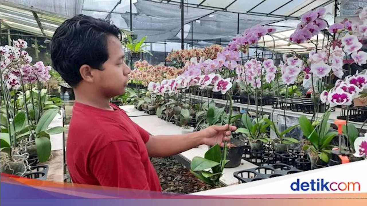 Kala KUR BRI Bantu UMKM Anggrek Hadapi Persaingan Ketat Jelang Lebaran