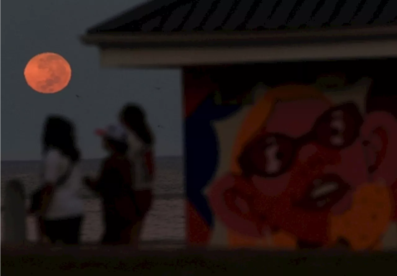 From AI-generated videos to ‘white genocide’ claims: The rise of fake news in Africa after Trump’s comeback