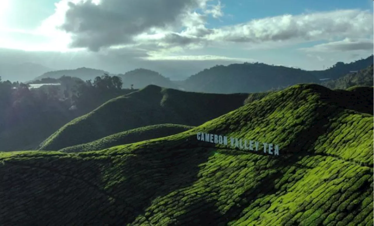 Lipis, Cameron Highlands top list of happiest districts in Malaysia