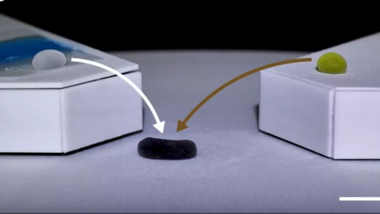 Cell-inspired liquid robot beats hard-bodied rivals in drug delivery, tumor treatment