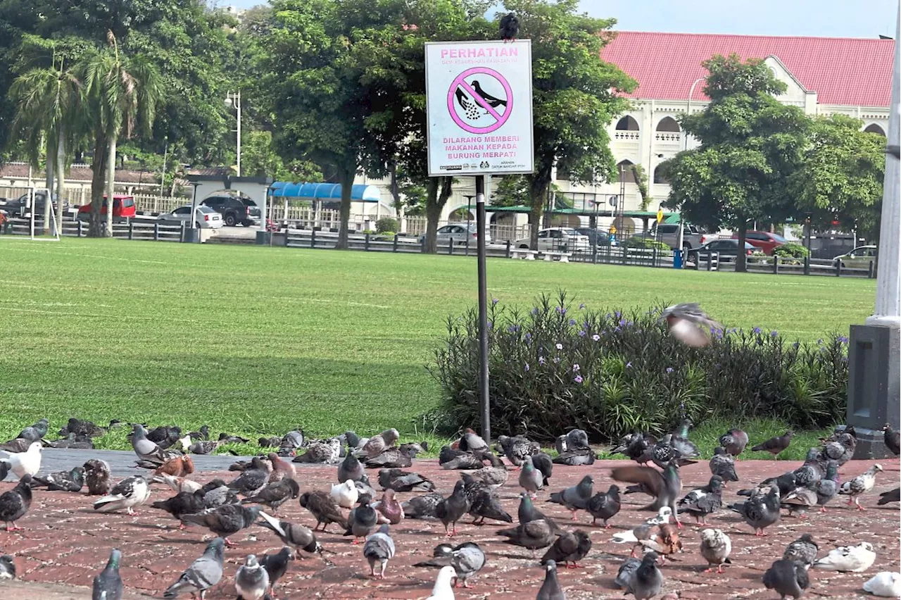 Fowl mess at Ipoh Padang