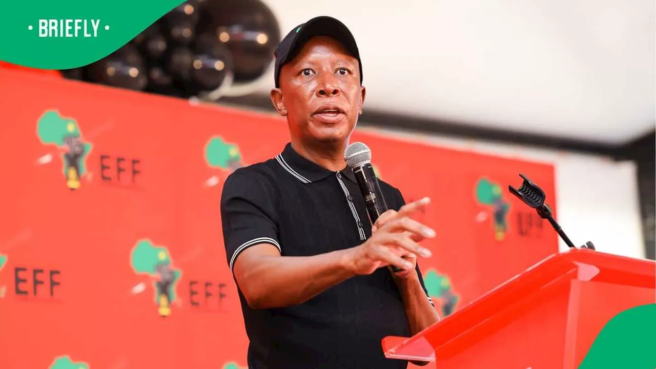 Julius Malema Says They Want to Expropriate Farms and Mines, Not Rotten Buildings, SA Not Impressed