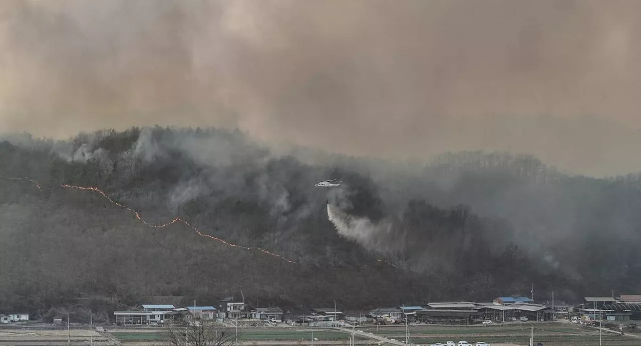 2 firefighters perish as fires sweep South Korea