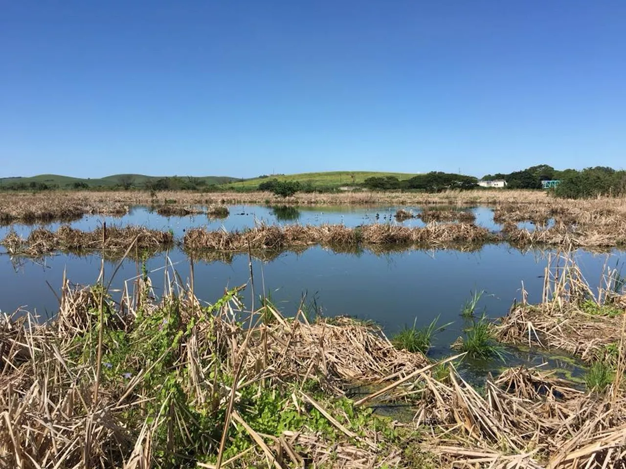 How private landowners are conserving South Africa’s wetlands