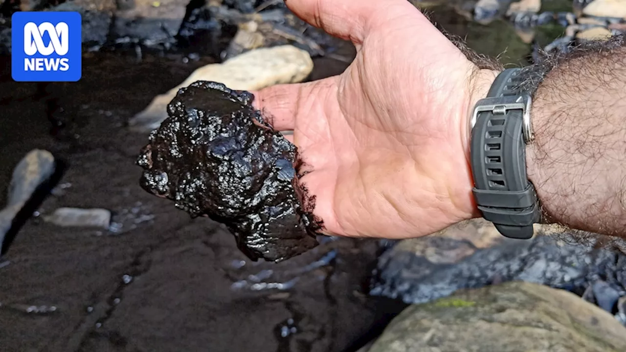Coal miner Peabody breached licence conditions, to pay $500,000 for Royal National Park pollution