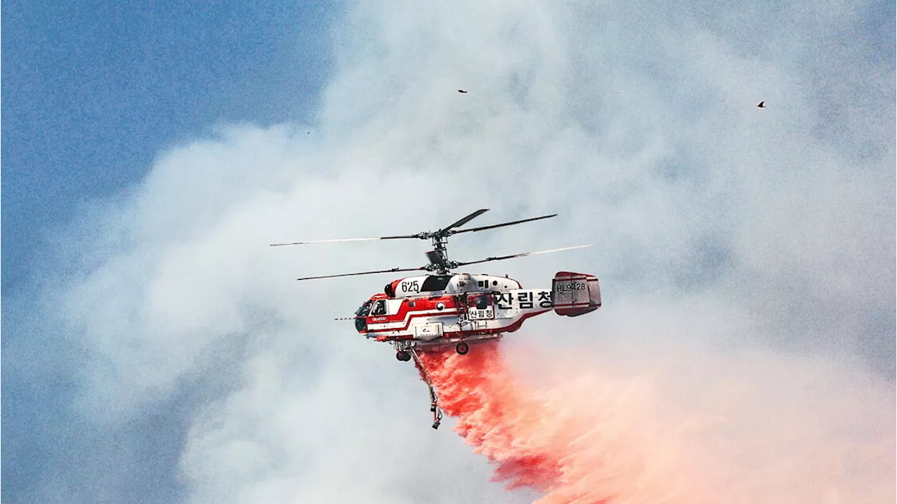 Incendio boschivo nella regione sud-orientale Corea del Sud