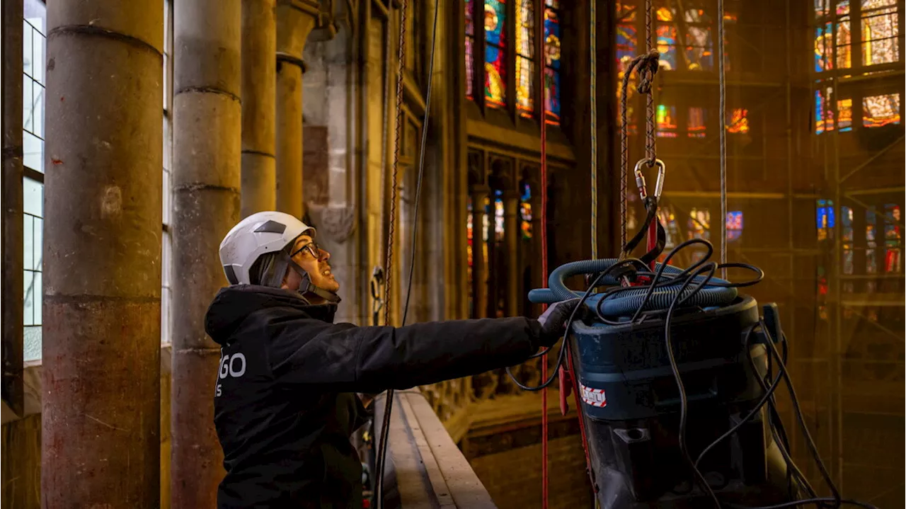 Pulizia completa della Cattedrale di San Vito a Praga
