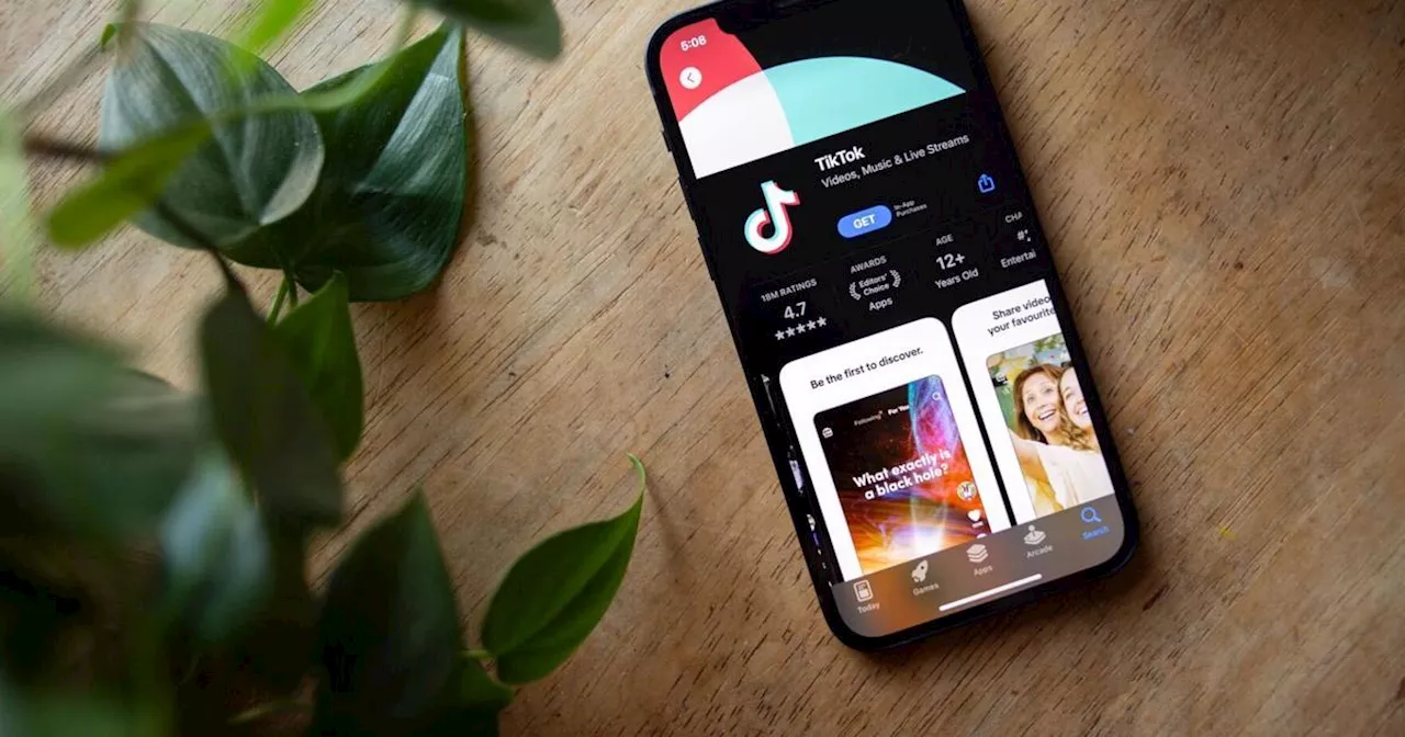 TikTok withdraws controversial ‘chubby’ filter