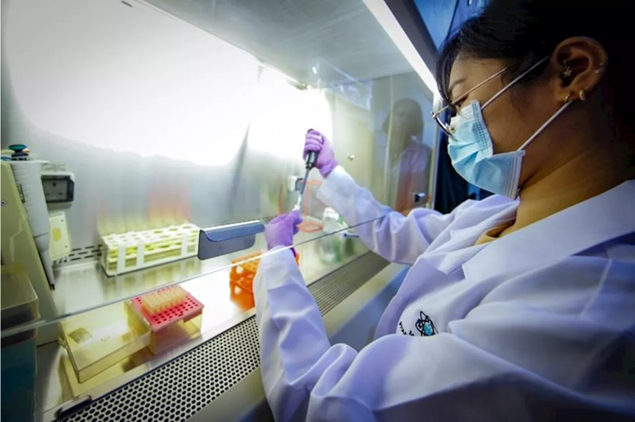 All-female UP scientists working on marine-derived product to fight breast cancer