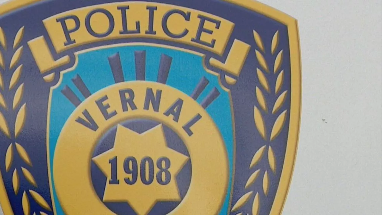 Mother, son duo facing felony charges for kidnapping ten-month-old boy together
