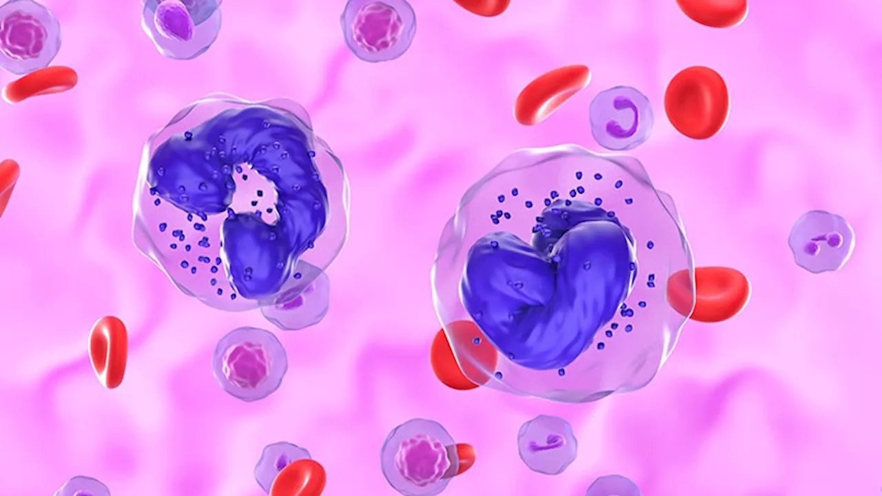 Hematologist Dives Deep on MPN Research, Explains It Clearly